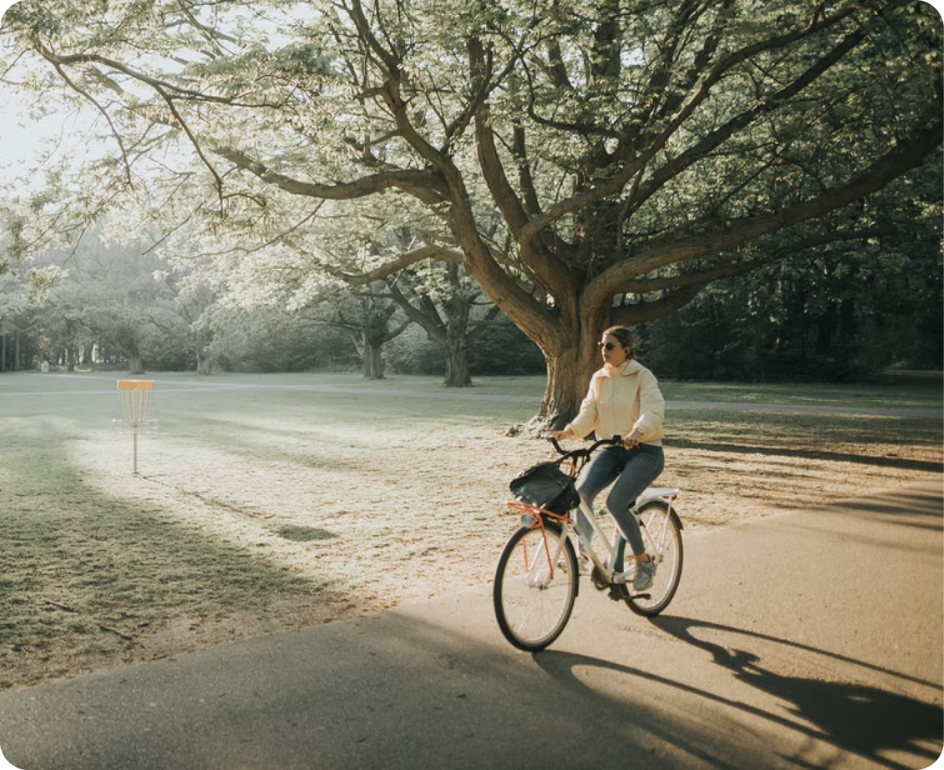 image 10 vélo arbre
